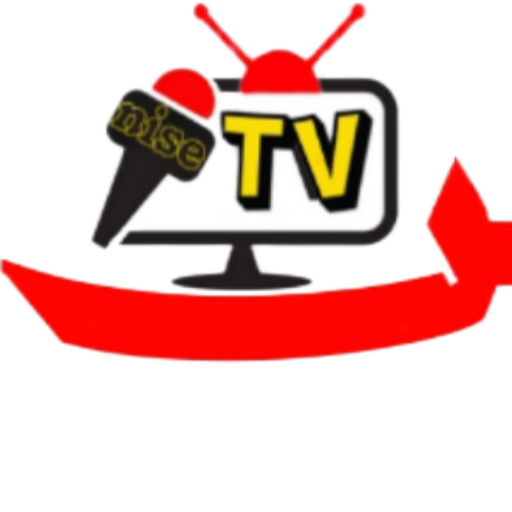 tvnise.com